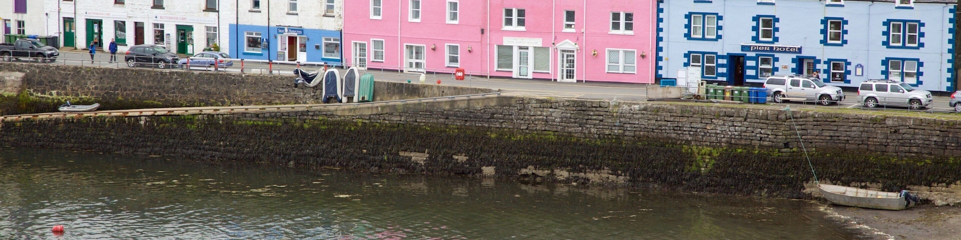 Porto de Portree mostrando uma cidade litorânea e uma baía ou porto