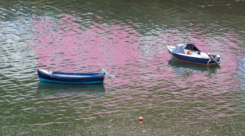 Porto de Portree que inclui canoagem e uma baĂa ou porto