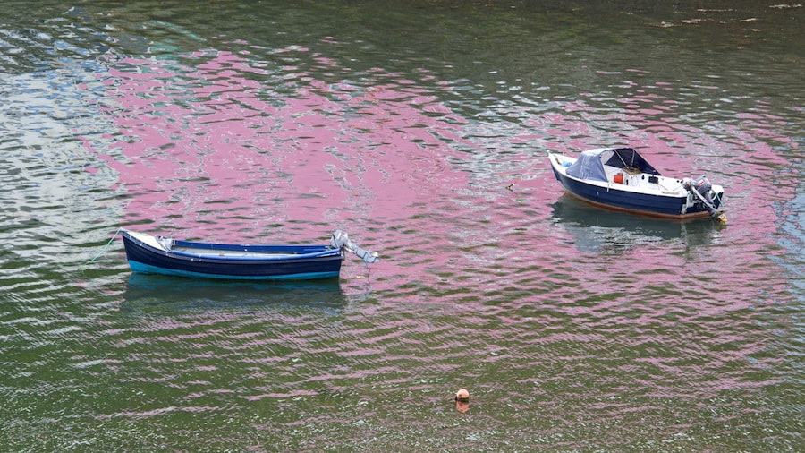 Portree Harbour featuring boating and a bay or harbour