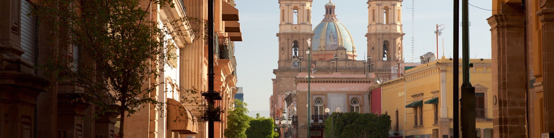 Catedral de León que incluye arquitectura patrimonial, una plaza y una iglesia o catedral