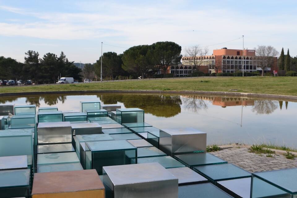 A series of glass cubes arranged in rows by a body of water with a building in the background.