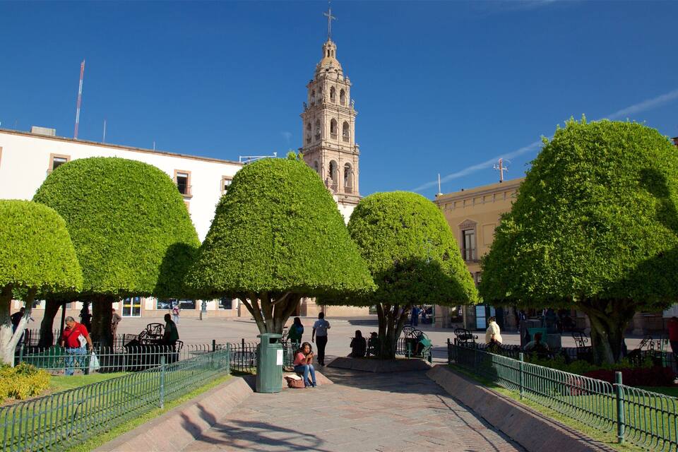 A plaza with trimmed trees, a historic bell tower, and people walking.