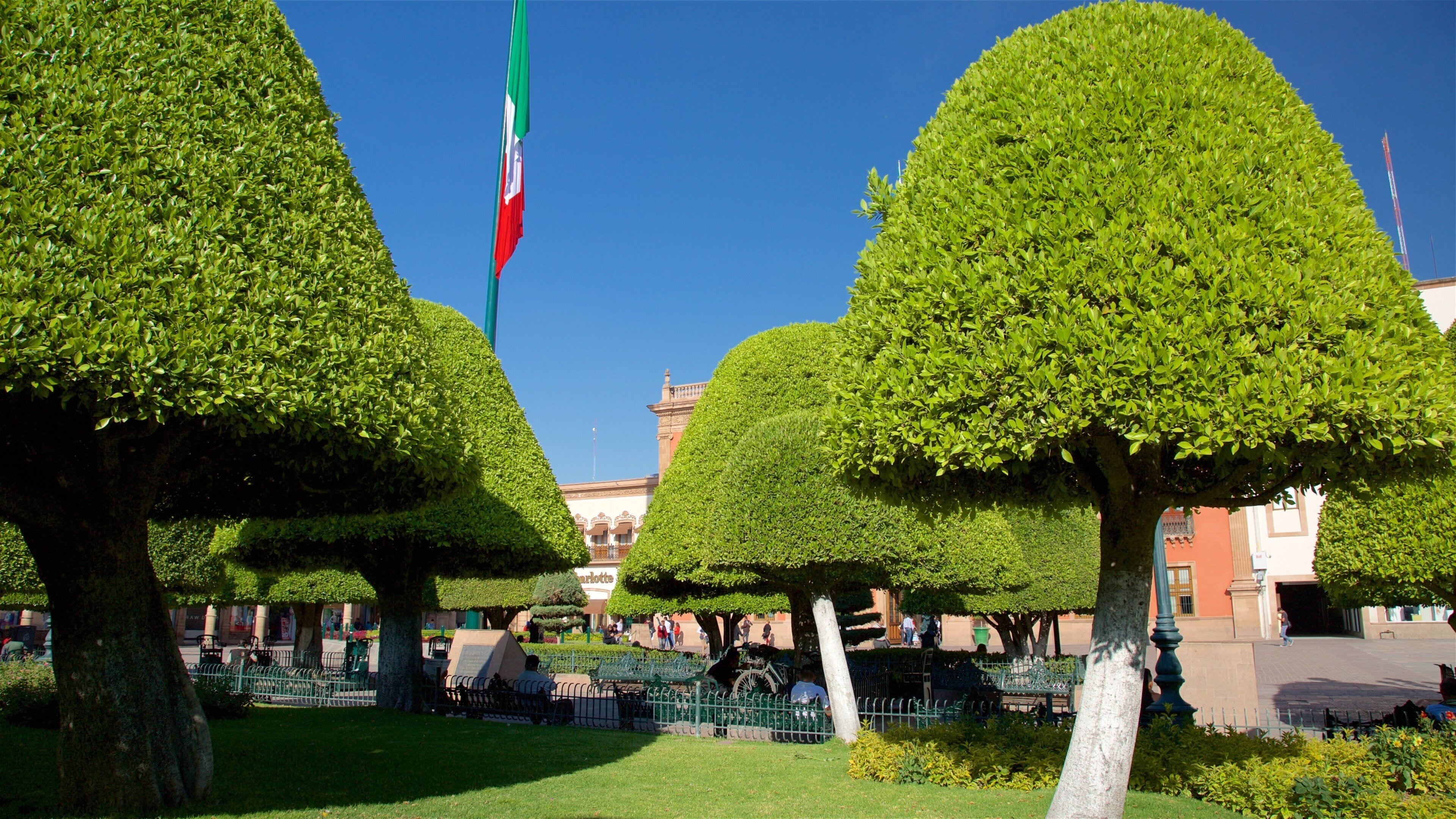Martyrs Plaza showing a park