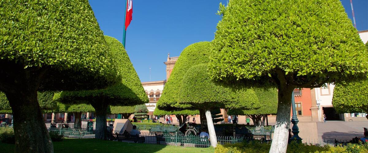 Martyrs Plaza showing a park