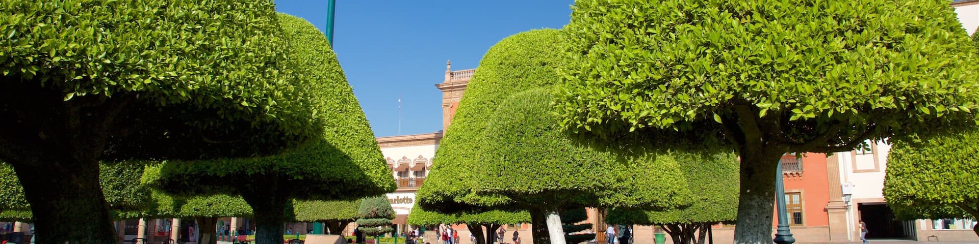Martyrs Plaza showing a park