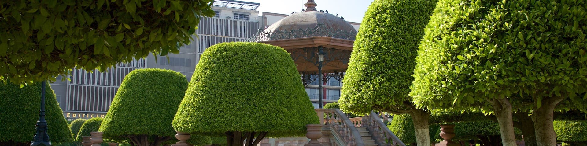 Plaza de los Mártires