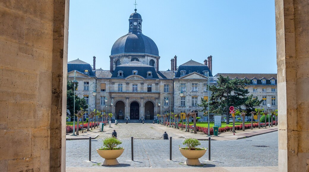 Pitié-Salpêtrière sykehus