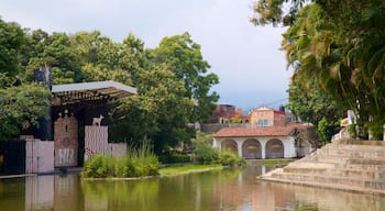 Central Cuernavaca featuring a pond