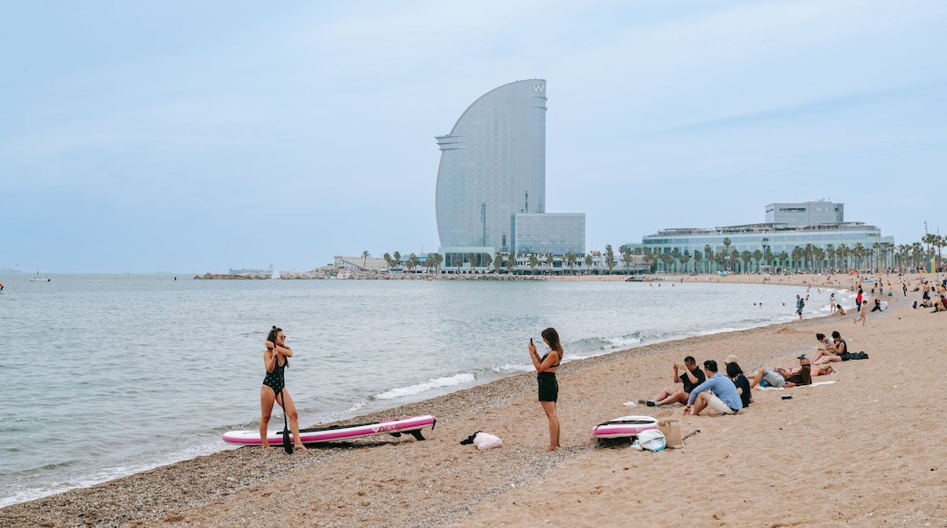 Barceloneta Beach which includes a sandy beach and general coastal views as well as an individual femail