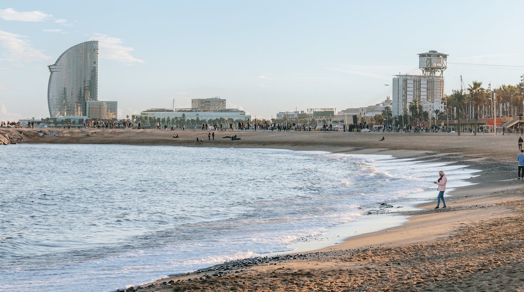 Barceloneta Beach which includes general coastal views, a beach and a coastal town