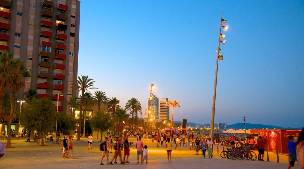 Playa de La Barceloneta mostrando una ciudad, imágenes de calles y escenas de noche