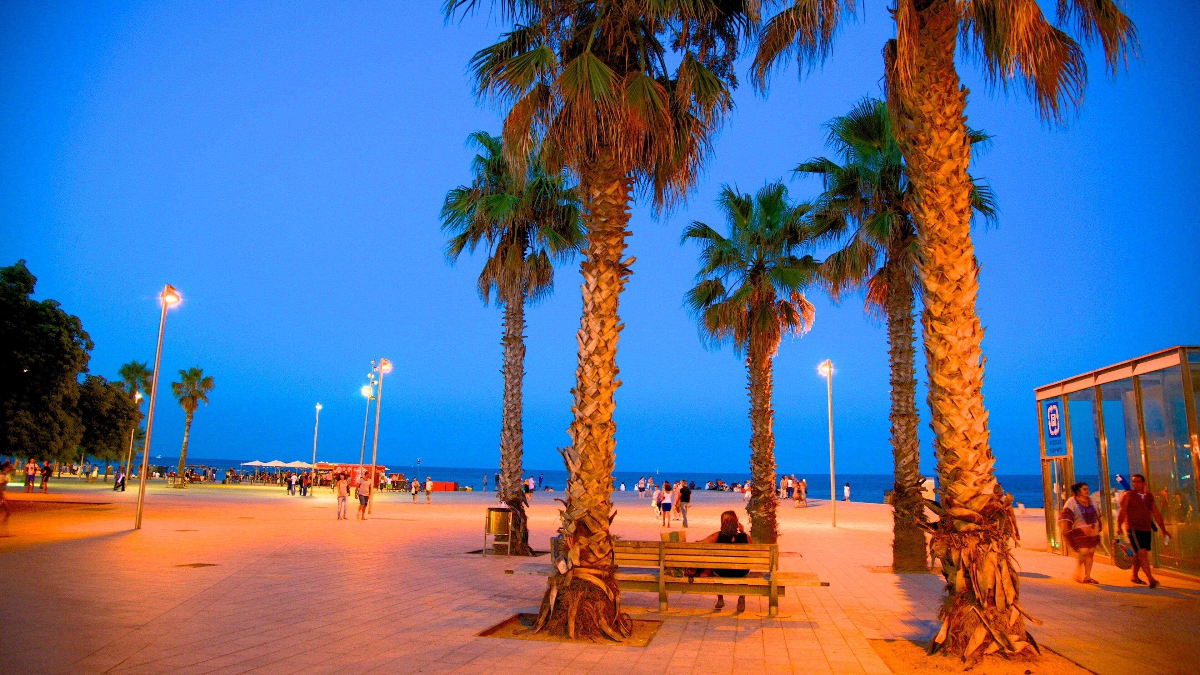 Barceloneta Beach showing general coastal views, night scenes and street scenes