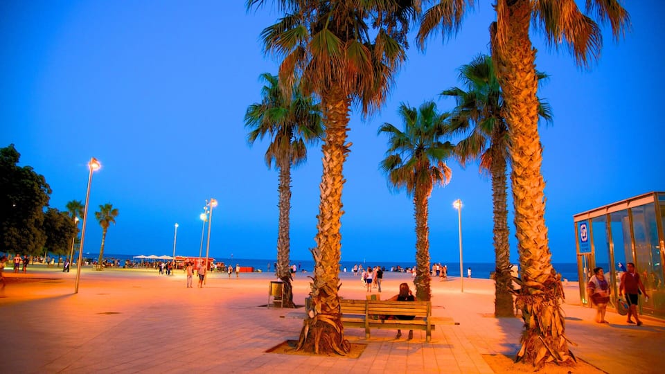 Barceloneta Beach which includes night scenes, street scenes and general coastal views