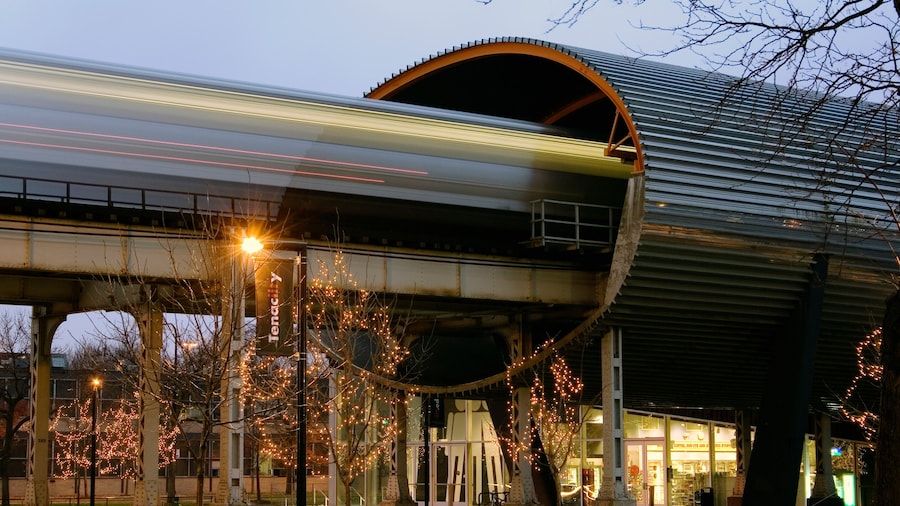 Illinois Institute of Technology