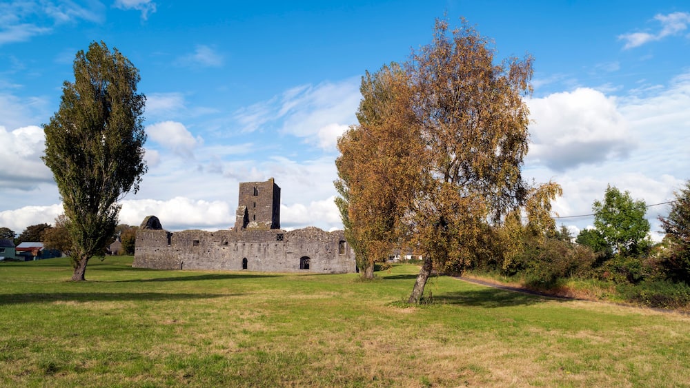 Image of the medieval Franciscan Friary in Callan,County Kilkenny, Ireland
