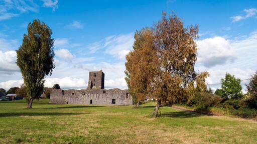 Image of the medieval Franciscan Friary in Callan,County Kilkenny, Ireland