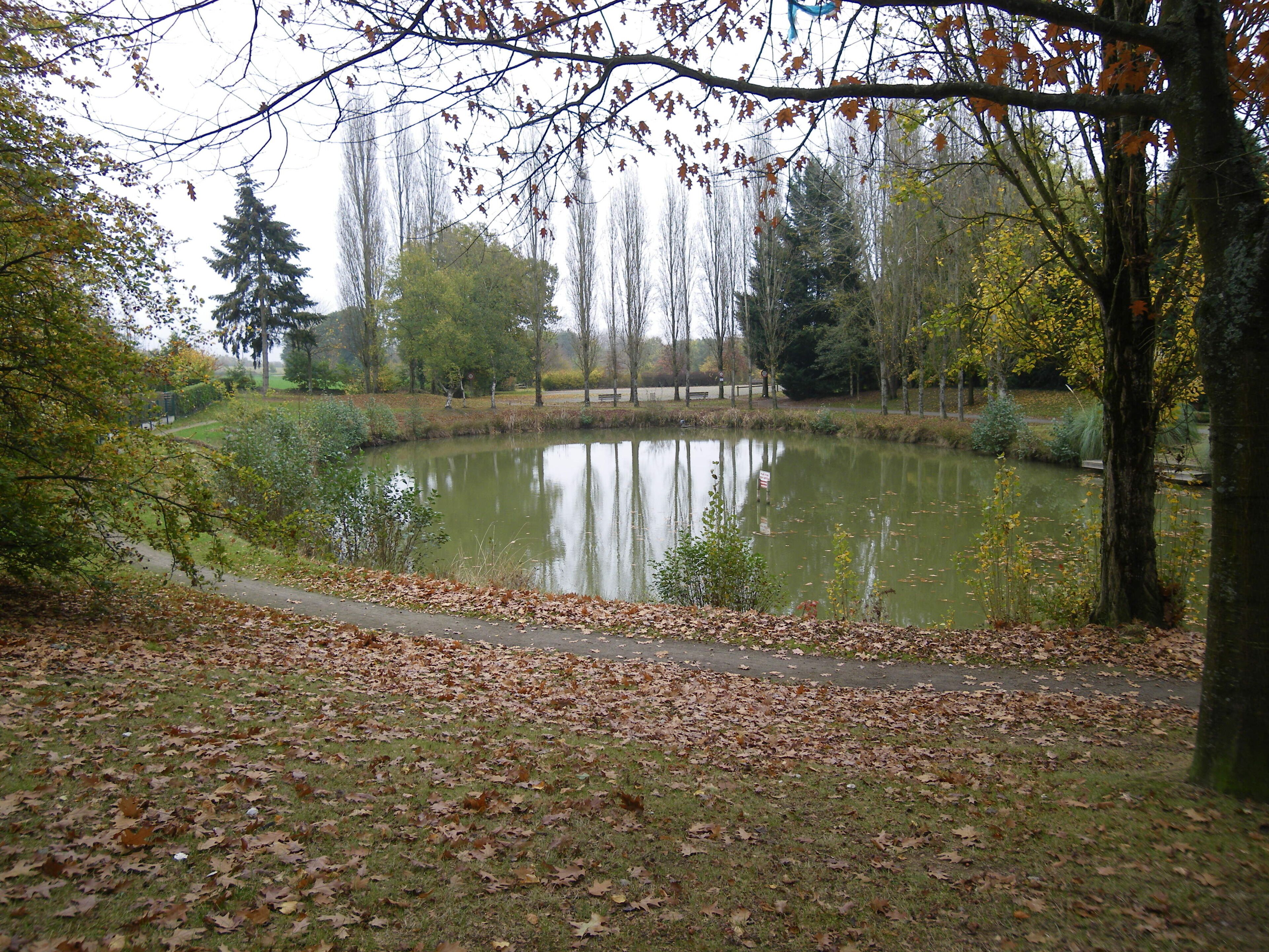 A pond surrounded by trees and a walking path.