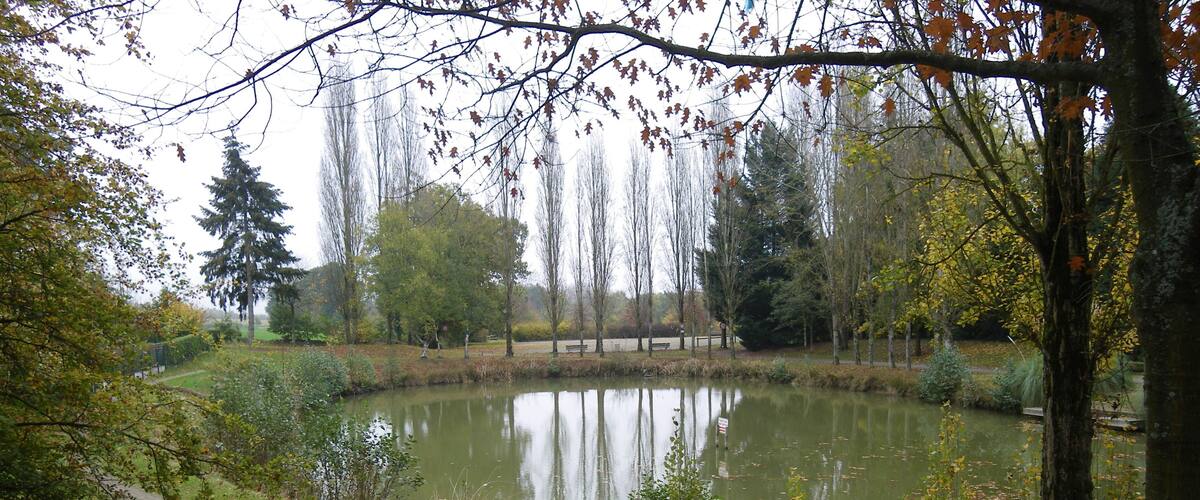A pond surrounded by trees and a walking path.