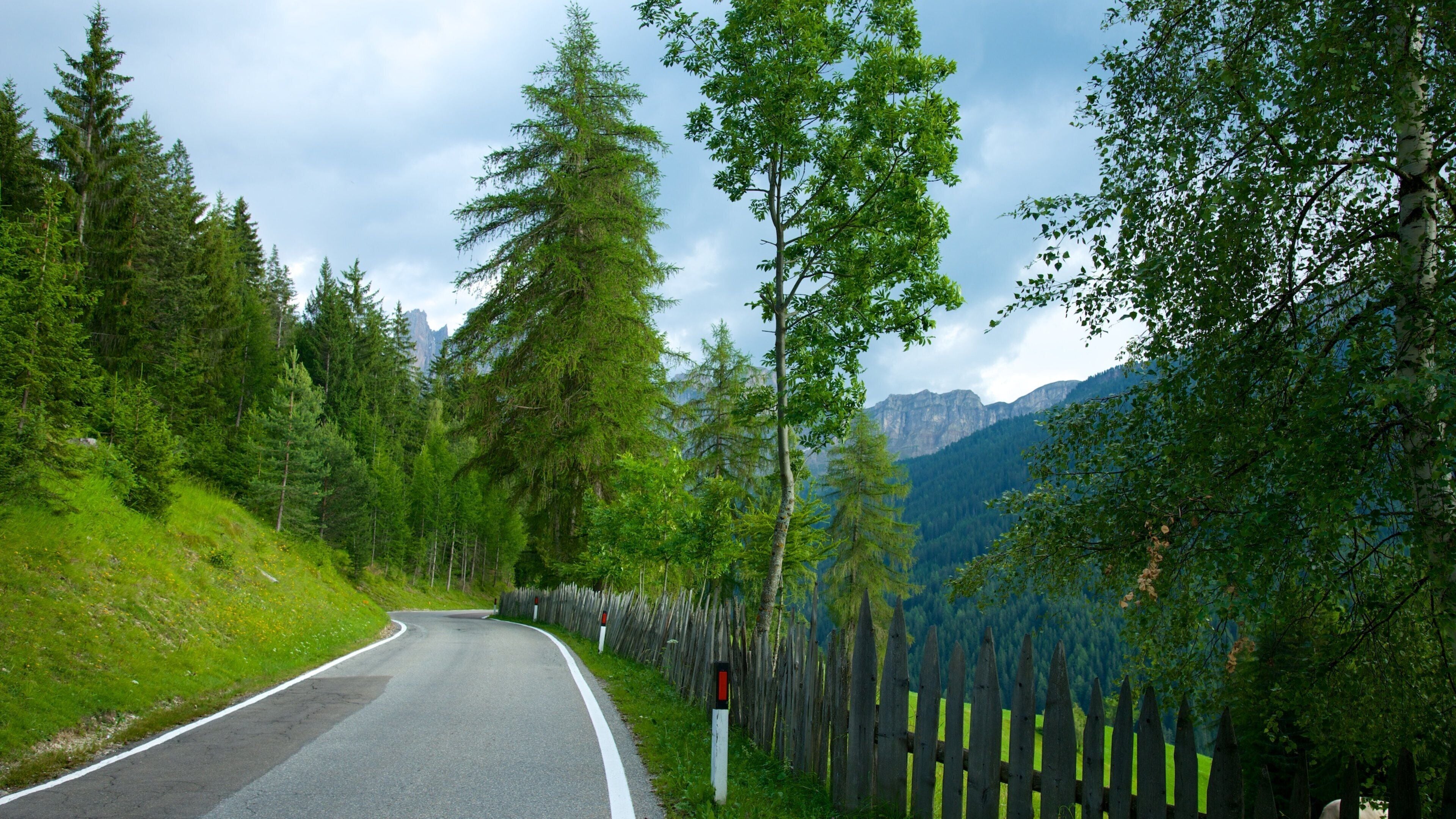 Funes som viser skoglandskap og rolig landskap