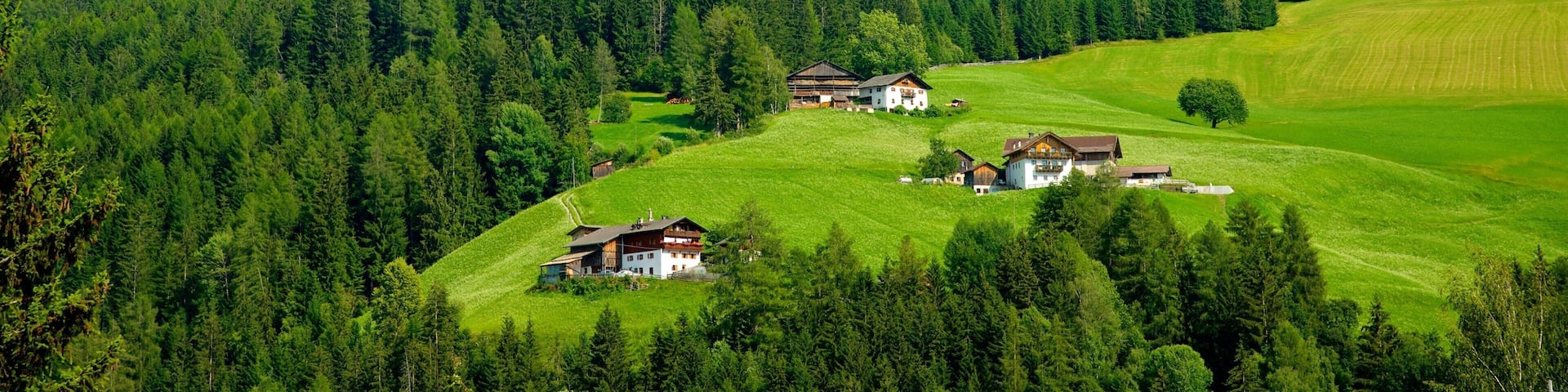 Villnöß welches beinhaltet ruhige Szenerie, Berge und Farmland