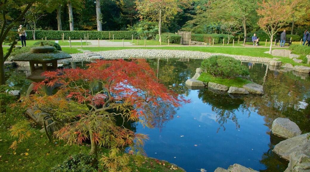 Holland Park som visar en trädgård och en damm