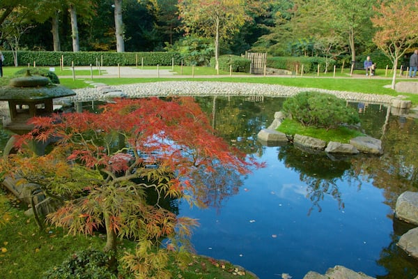 Holland Park showing a park and a pond