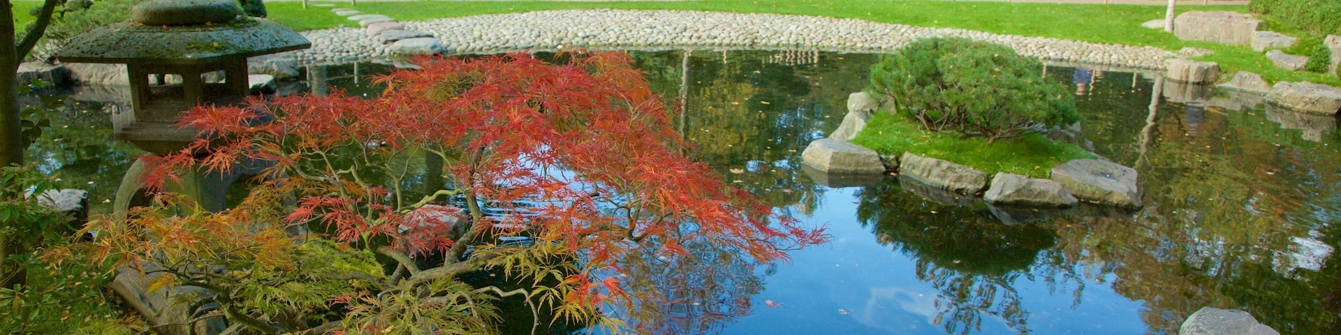 Holland Park showing a park and a pond
