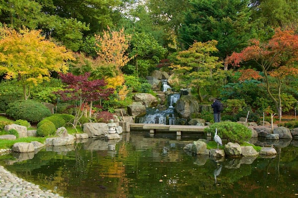 Holland Park mettant en vedette chute d\'eau, parc et mare