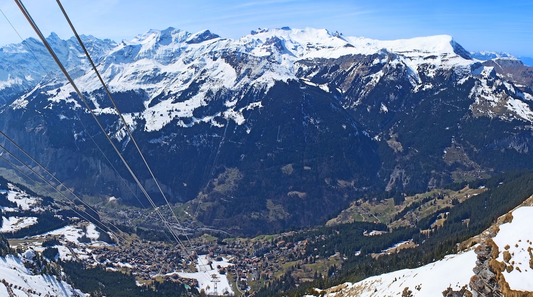 Telesquí Wengen-Mannlichen