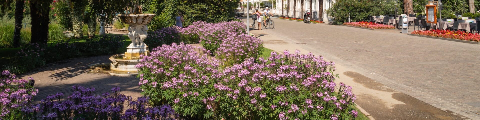 Kurhaus which includes wildflowers and a park