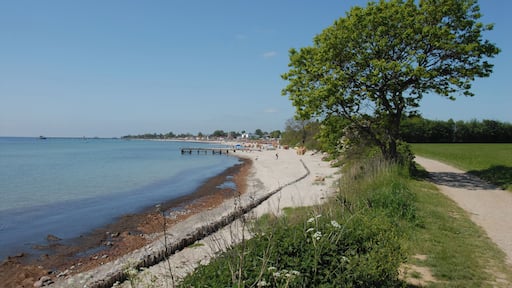 Strand in Richtung Kellenhusen