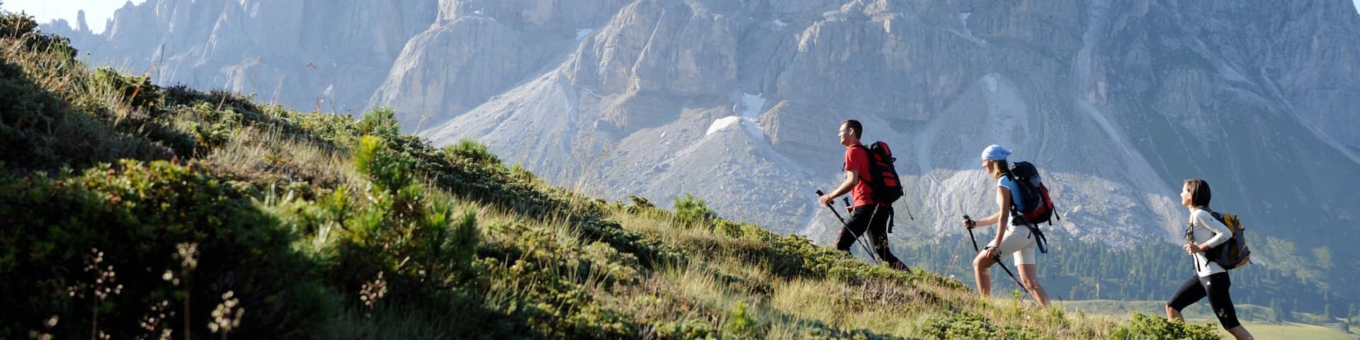 Kronplatz Ski Area featuring mountains and hiking or walking as well as a small group of people