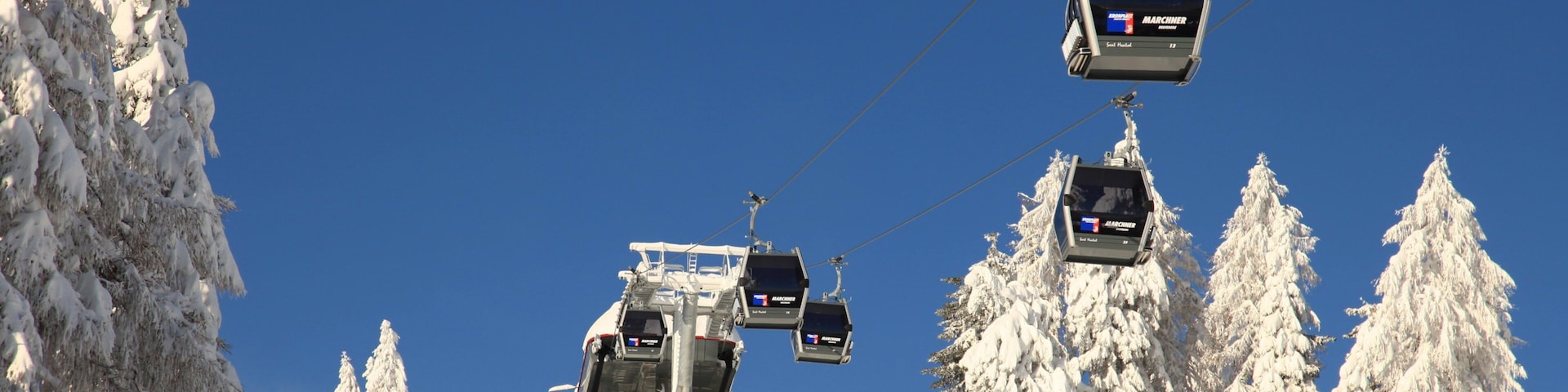 Kronplatz Ski Area showing forest scenes, a gondola and snow