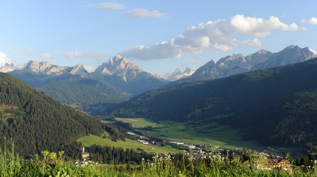Área de esquí de Kronplatz ofreciendo escenas forestales y montañas