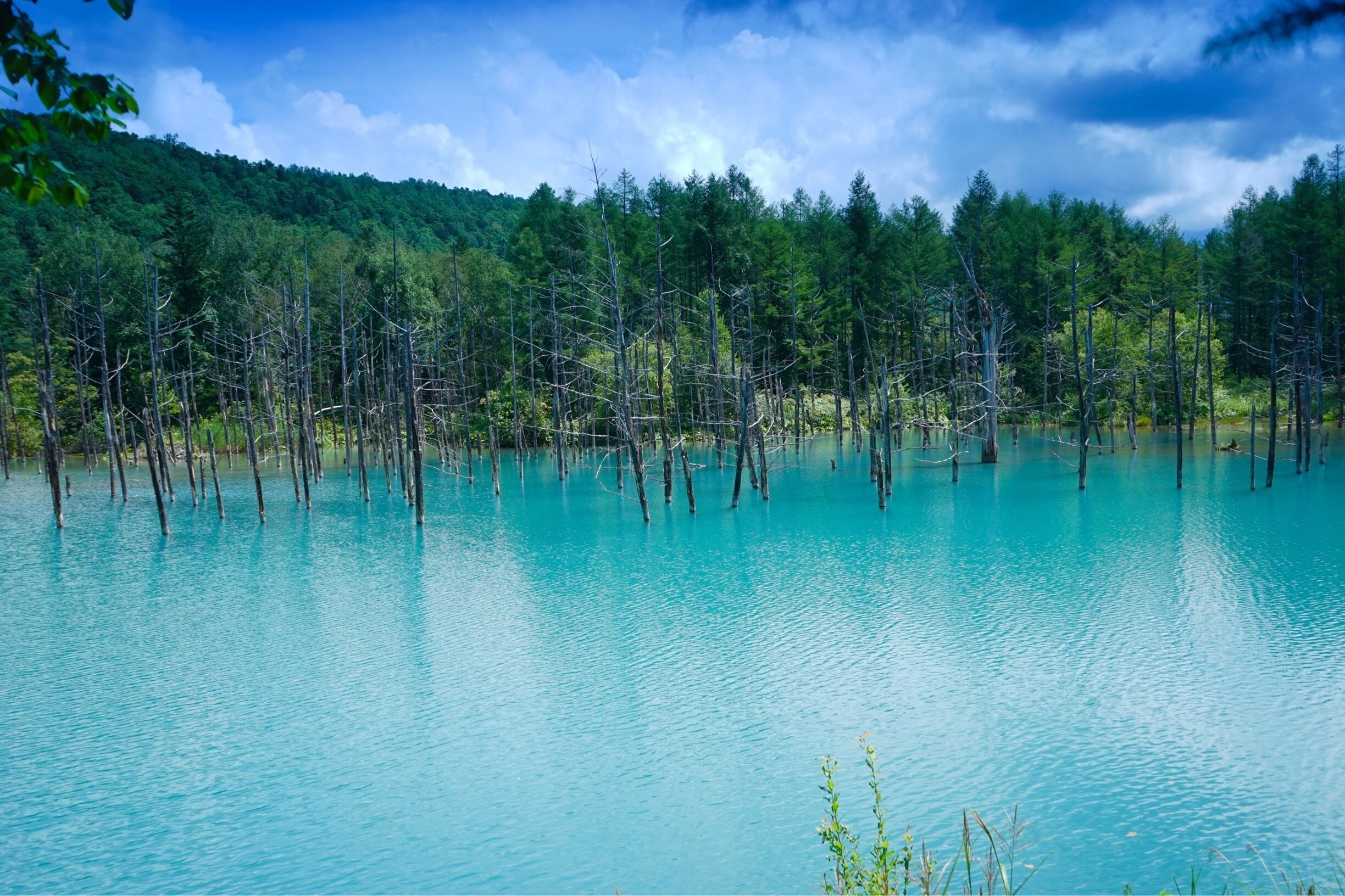The blue pond near Biei