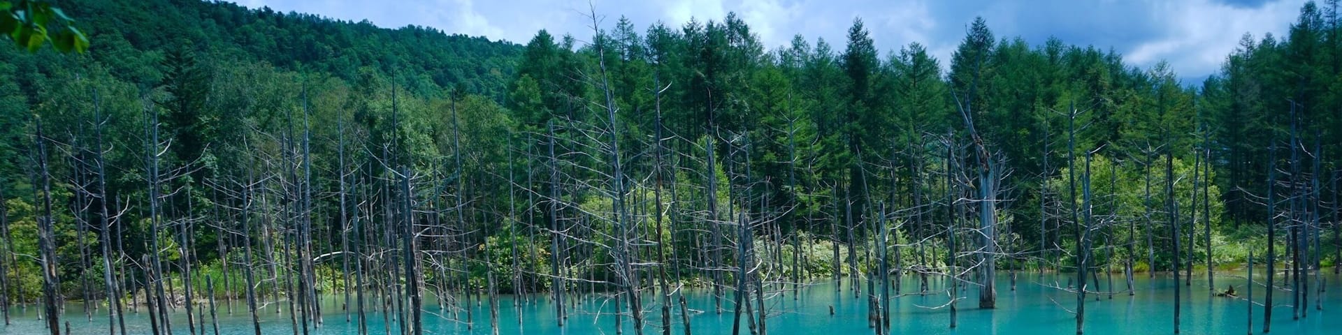 The blue pond near Biei