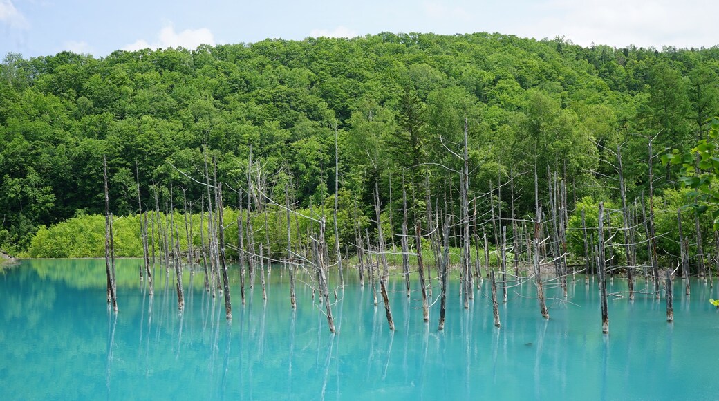 Amazing colours of the blue pond in Hokkaido, Japan.