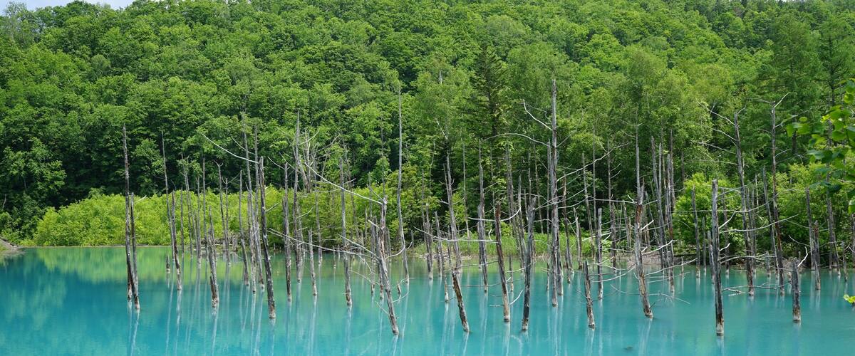 Amazing colours of the blue pond in Hokkaido, Japan.