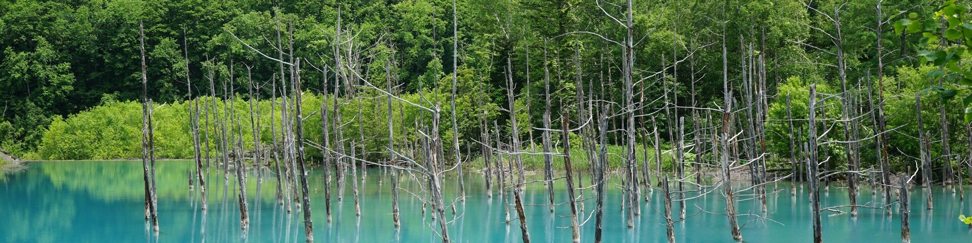 Amazing colours of the blue pond in Hokkaido, Japan.