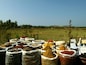 Spices for sale at Anjuna Market