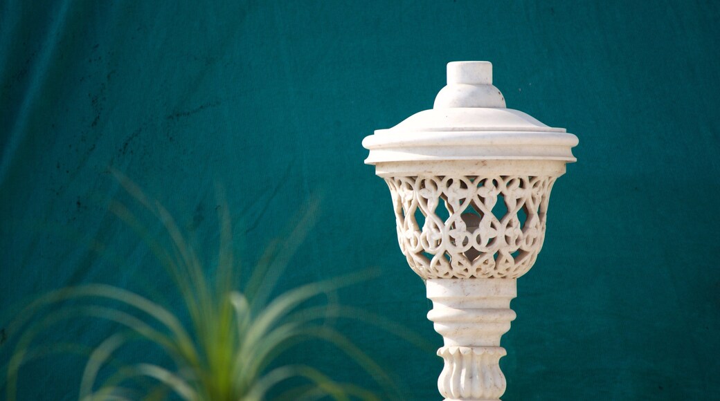 Templo de Soami Bagh que incluye un templo o sitio de culto