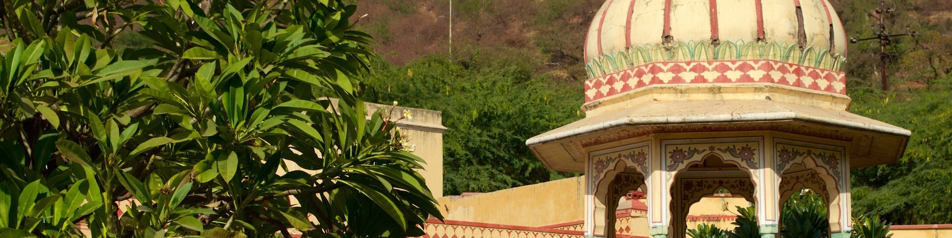 Palacio y jardines de Sisodia Rani ofreciendo un parque y un castillo