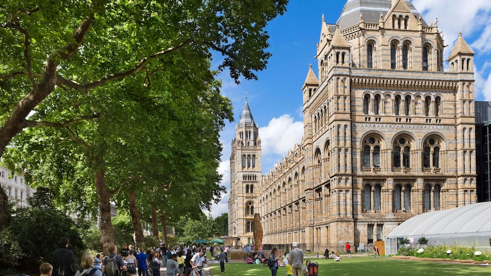 C7TKR5 The Natural History Museum, Exhibition Road, South Kensington, London, England, UK