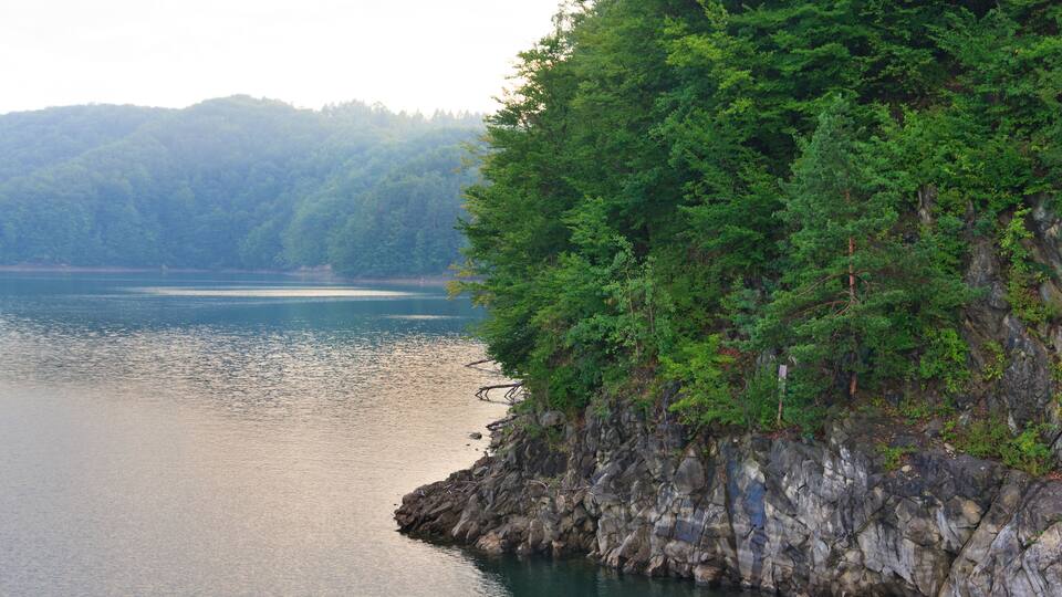 A rocky shoreline with dense green forest and calm water.
