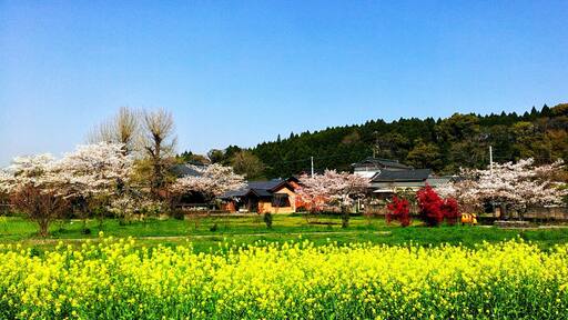 田舎で見た風景