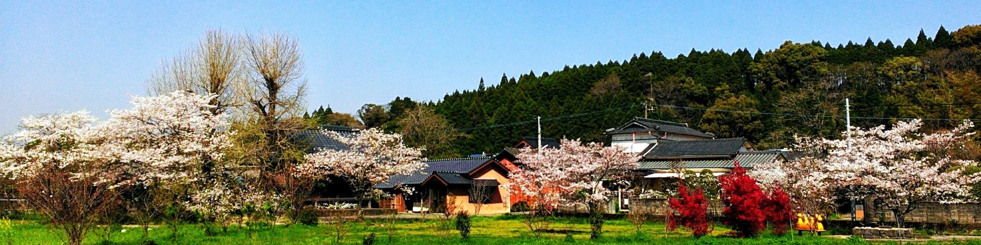 田舎で見た風景