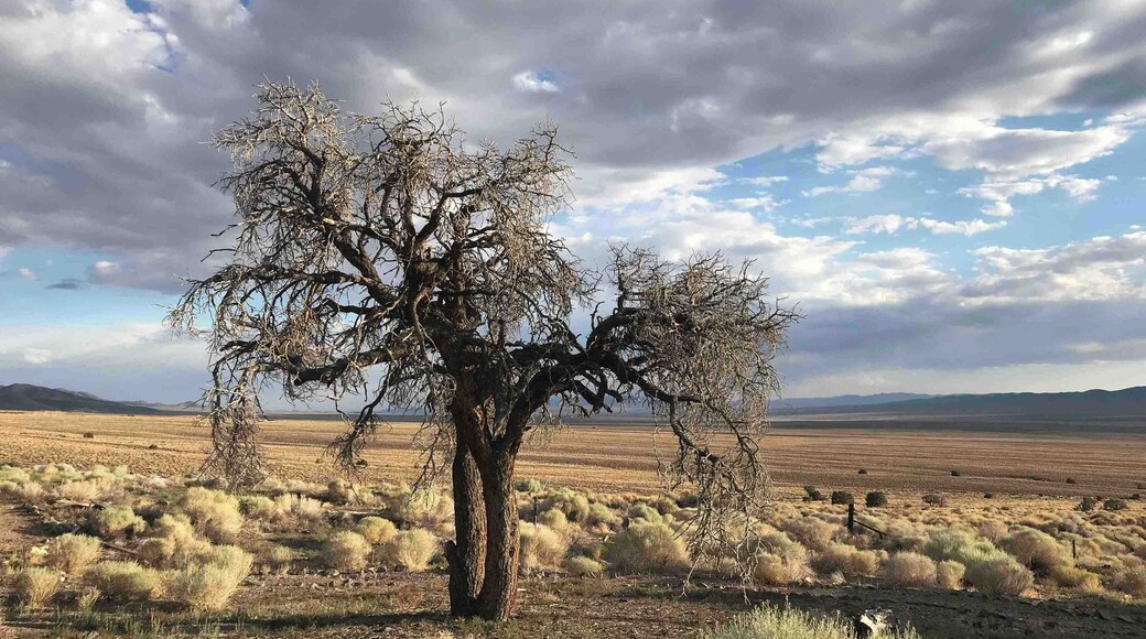 Very nice fossil site, great place to camp and try out our new e bikes. Beautiful skies, old mining camp.