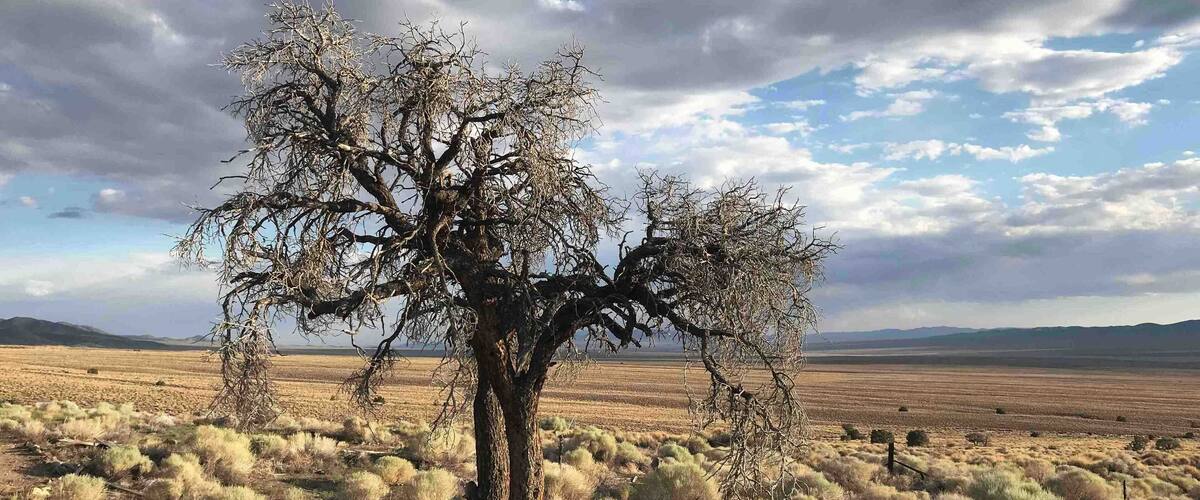 Very nice fossil site, great place to camp and try out our new e bikes. Beautiful skies, old mining camp.