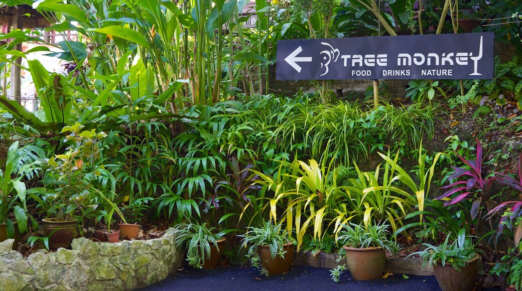 Tropical Spice-trädgården presenterar skyltar och en park