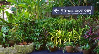 Tropical Spice Garden showing signage and a park